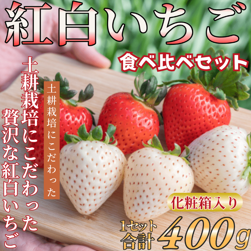 いちご農園のランディングページ