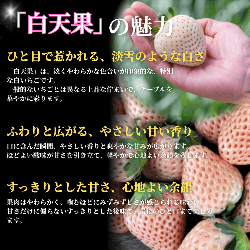 いちご農園LP 2