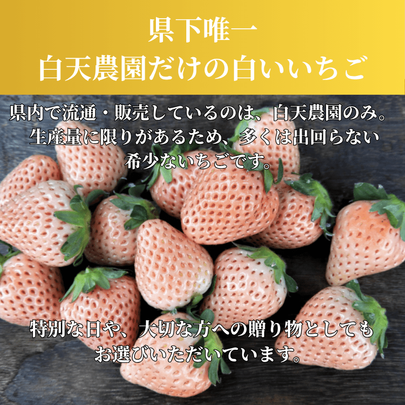 いちご農園LP 5